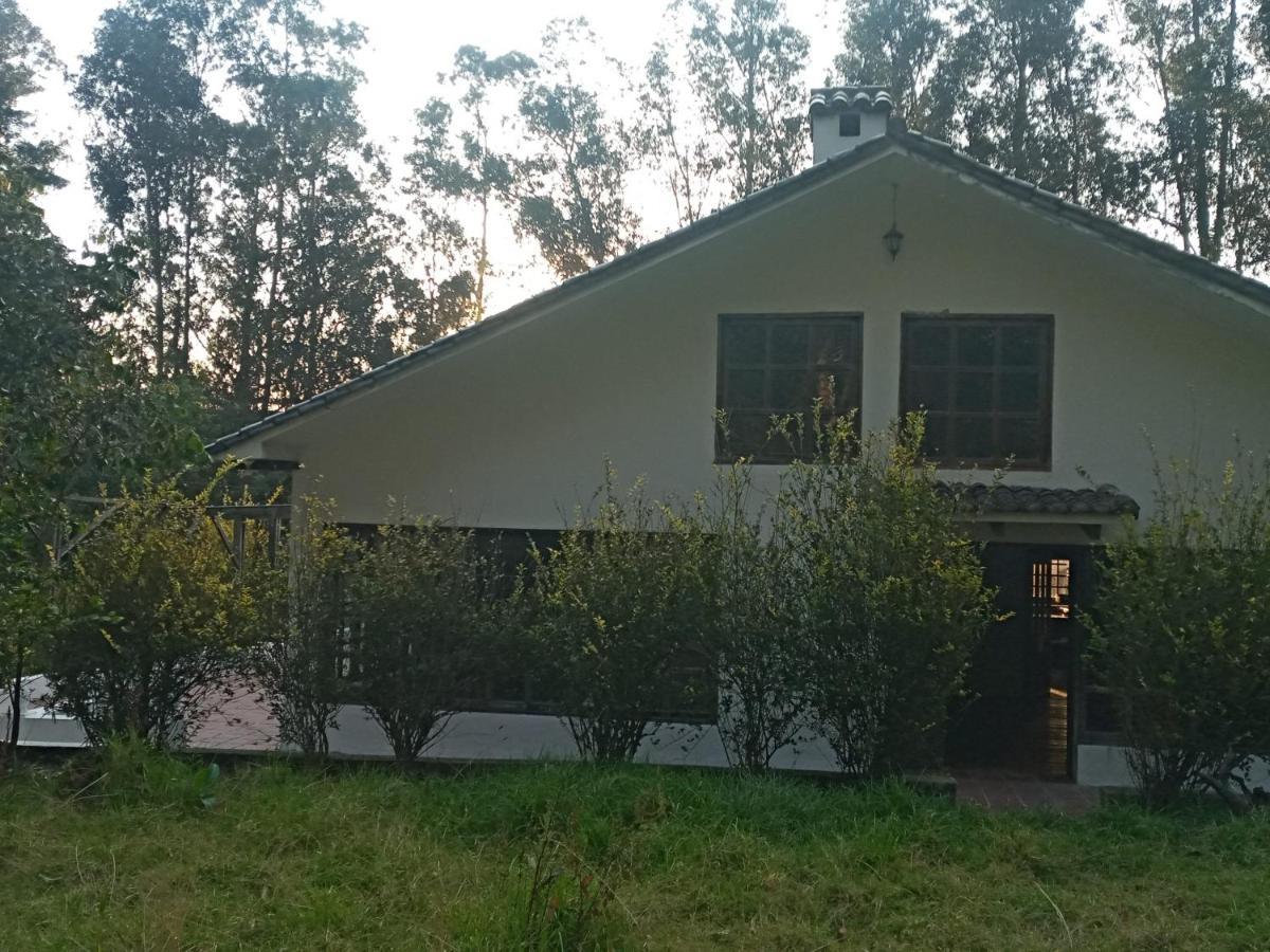 Quinta Los Eucaliptos Hotel Quito Ngoại thất bức ảnh