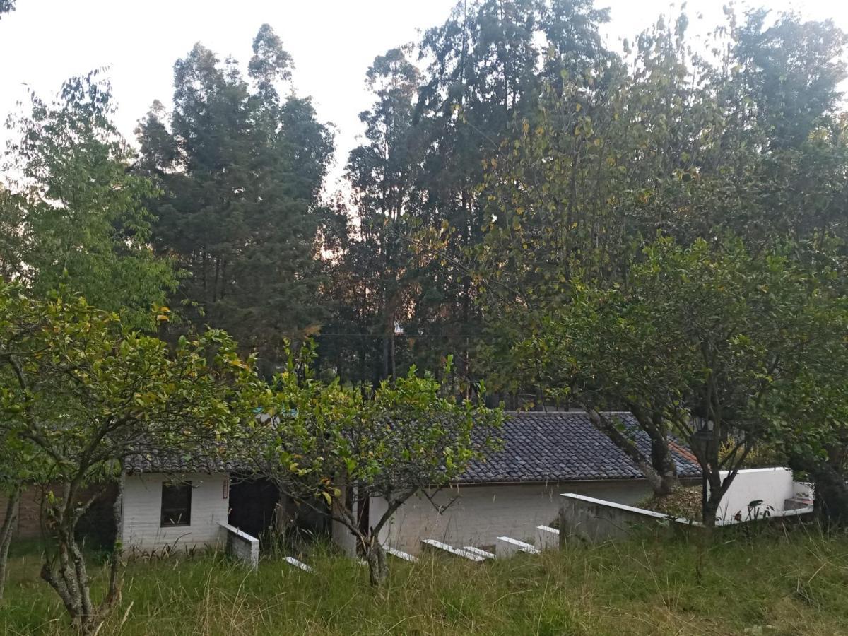Quinta Los Eucaliptos Hotel Quito Ngoại thất bức ảnh